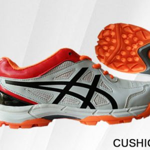 Shoe